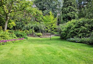 Optimiser l'expérience du jardin à Courboin